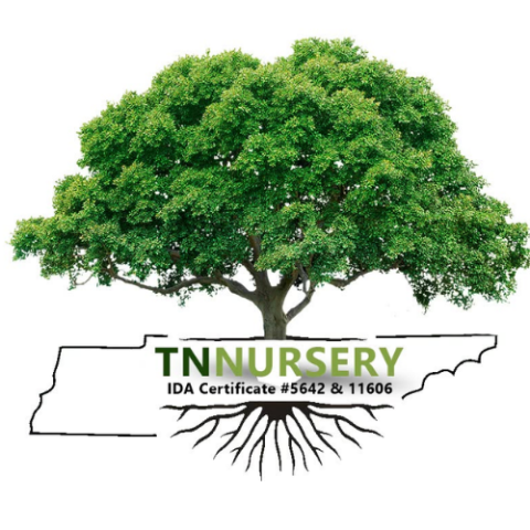 TN Nursery