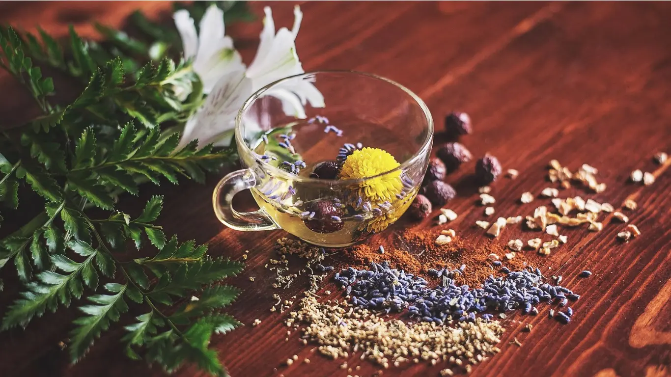 herbal renaissance coupon code