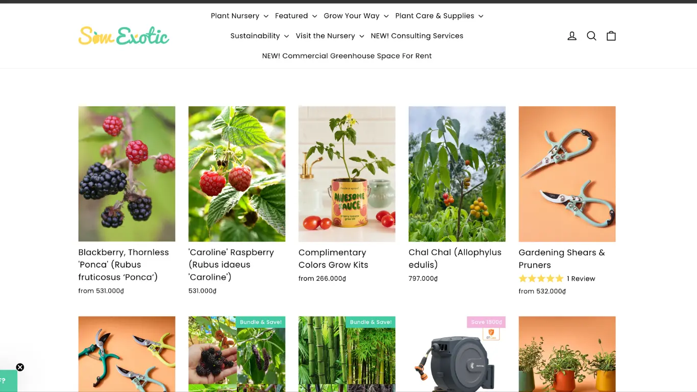 Sow Exotic coupon code