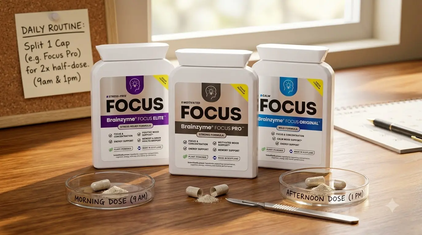 two dose daily schedule for splitting a Brainzyme Focus capsule routine